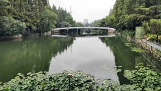 华东师大校河——丽娃河何以得名？