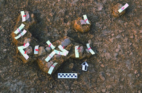 合肥市区首次发现古人类与旧<em>石器时代</em>遗存