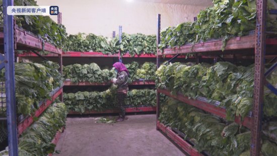 哈尔滨临时增加市级春季蔬菜储备2000吨 保“菜篮子”稳定