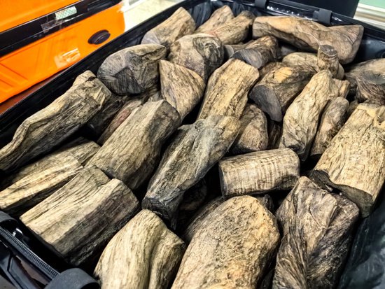 “保护物种”“48.65公斤” 厦门海关在旅客行李中查获一批<em>沉香</em>...