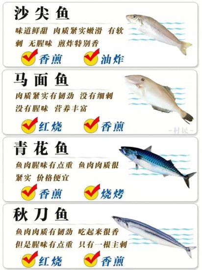 常见海鱼的<em>种类及名称</em>
