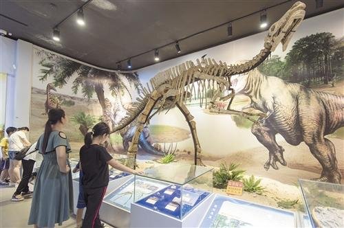 <em>恐龙木乃伊</em>亮相南宁 市民可前往广西自然博物馆观展