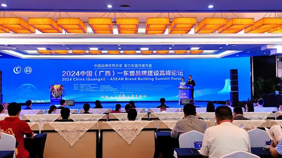 2024中国（广西）—东盟品牌建设高峰论坛在<em>南宁</em>举行