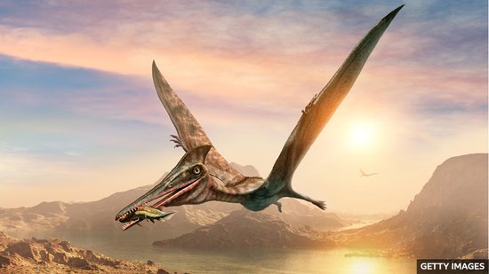 Pterosaur: new species of flying reptile discovered in Scotland...