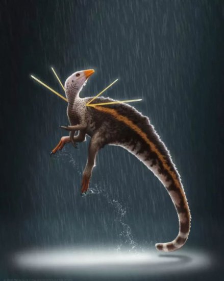 新恐龙物种拥有前所未有的奇怪尖刺“<em>装饰品</em>”