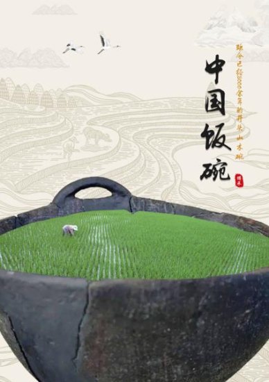 就叫"中国饭碗"如何?宁波知名策划人为世界最古老木碗<em>取名</em>