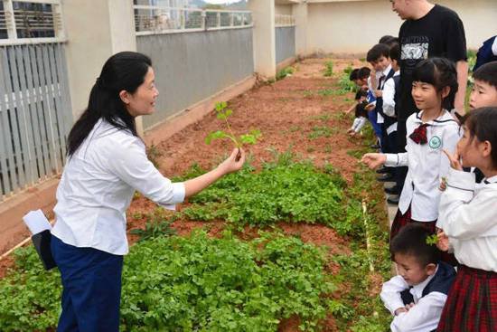 中大深圳附属学校开学第一课：打开课堂，拥抱自然