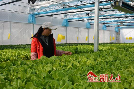 秦州区：科技加持 让特色农业更有“钱”景