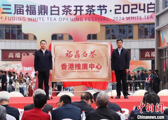 “中国白茶之乡”福建福鼎举办开茶节 推动茶产业绿色高质量发展