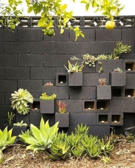 院子用空心砖砌景观墙，能种花能装饰，还比水泥墙<em>便宜</em>，足够...