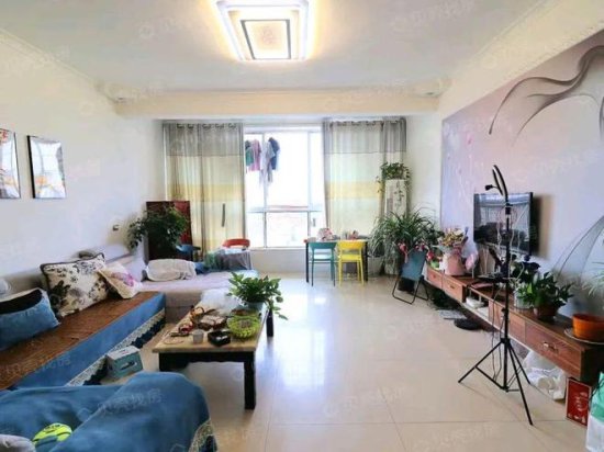 【房产】长江国际可商用、可自住的别墅，超低首付，单价4000...