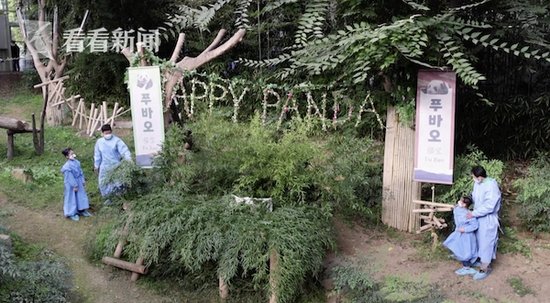 视频｜官宣！首只在韩国出生大熊猫<em>取名</em>“福宝”
