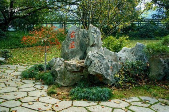 在花港观鱼有块叫“俞庄”的石头，和<em>鲁迅先生的</em>老师有很大<em>关系</em>
