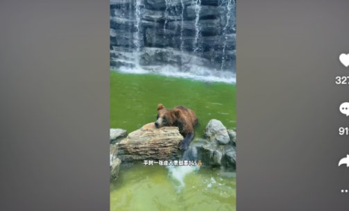 实战案例拆解丨网红动物退潮后，北京野生动物园的线上经营之道