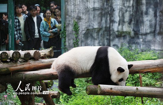 江苏<em>南京</em>：动物园参观游览 乐享假期