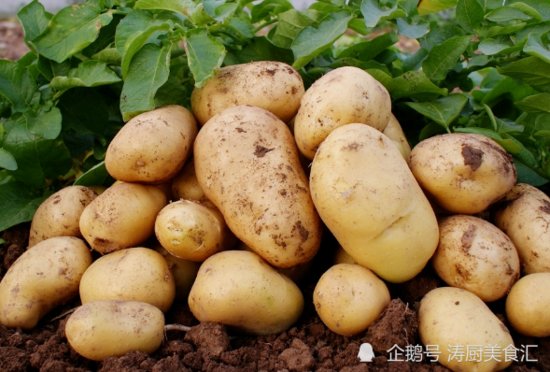 爱吃土豆的欧洲人，曾经靠土豆拯救几千万人