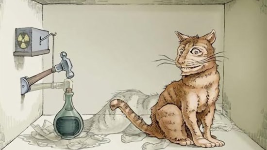 为什么不抓一只猫去做薛定谔的猫实验？