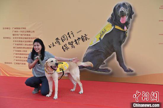 广州开展国际导盲犬日活动