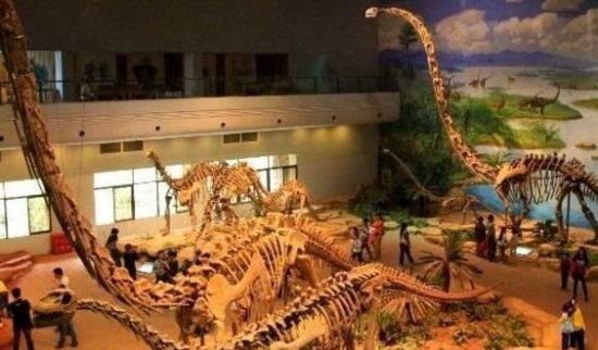 卢丰<em>恐龙</em>博物馆,成为繁荣的<em>恐龙</em>王国,<em>是世界</em>三大<em>恐龙</em>博物馆之一