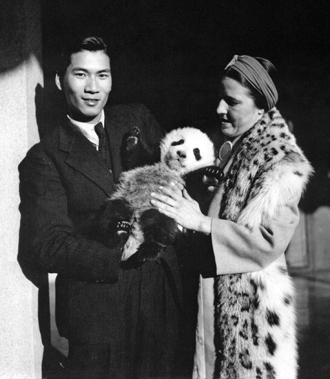 1936年，一美国<em>女子</em>携熊猫出中国，海关问：这是什么？她说：...