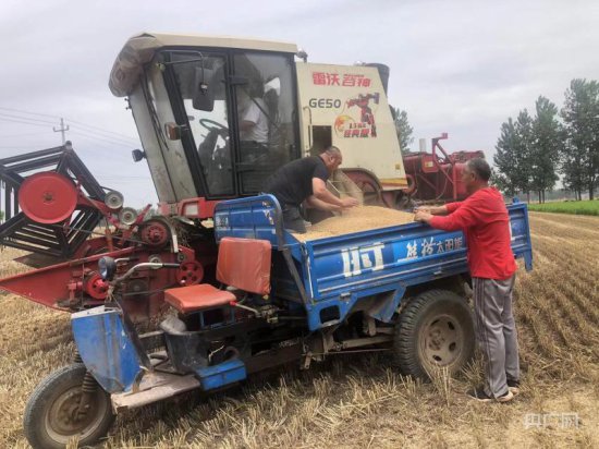 永城市酂城镇卞庄村：四千余亩小麦开收 预计6日前完成收割