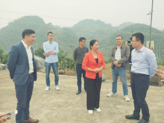 桂林市国家可持续发展议程创新示范区专家组赴阳朔县调研