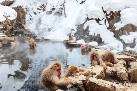 天冷了 日本人最喜欢去哪里放松身体？