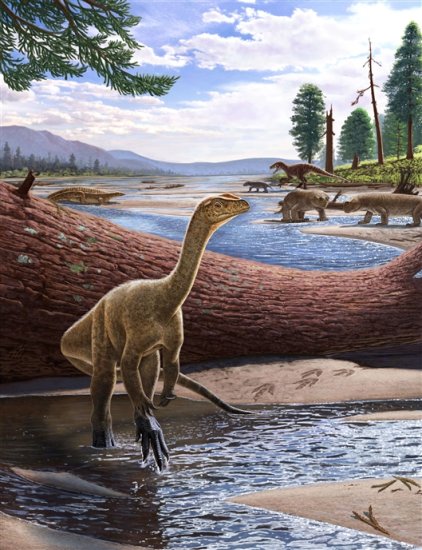 2.3亿年前化石表明气候带影响早期<em>恐龙</em>分布