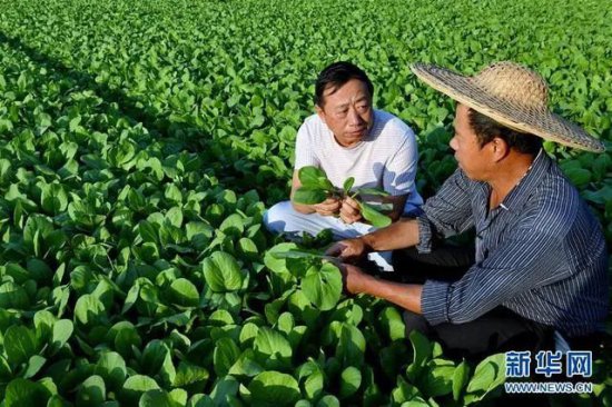 <em>李乾</em>：农业社会化服务助力农业强国建设