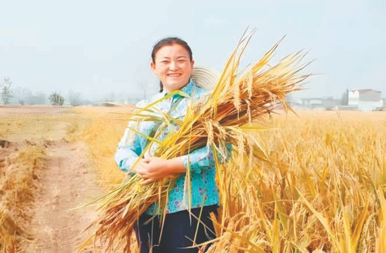 靠“一碗大米”让公司上市的新农创业带头人
