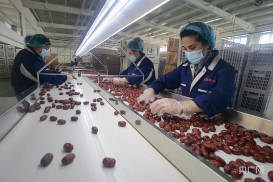 若羌县红枣产业为经济高质量发展赋能“加码”