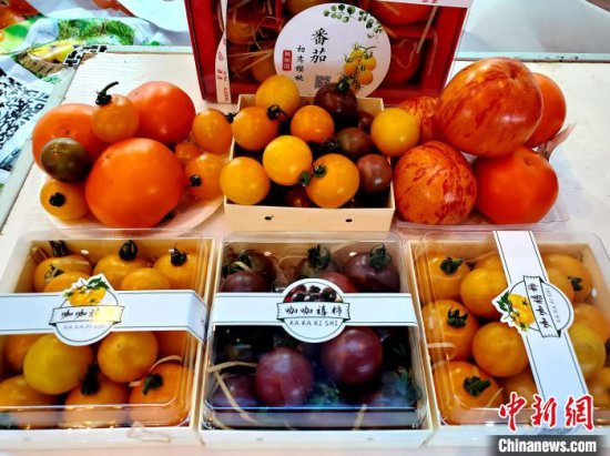 第三届<em>海南</em>热带水果产业博览会暨春季果品交易会在三亚举办