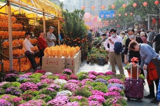 中国6大花市，全国最大的<em>花卉批发市场</em>介绍~