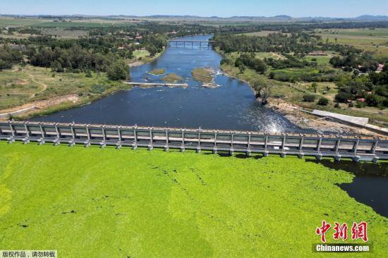 南非瓦尔河塞满<em>水生植物</em> 河流变“草地”