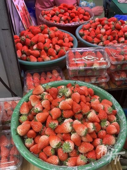杭州人很<em>喜欢</em>吃的<em>草莓</em> 没往年那么甜了也还不降价