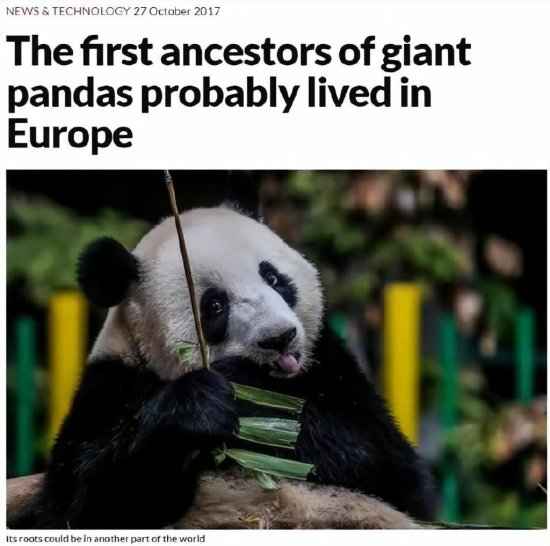 大熊猫起源于欧洲？匈牙利发现千万年前熊猫化石，真是熊猫<em>祖先</em>...