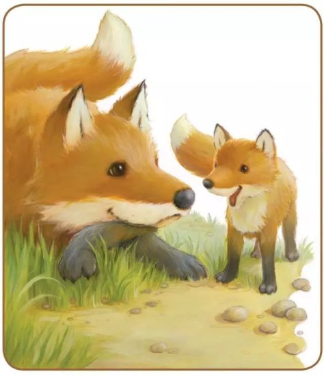 简单温馨的<em>睡前故事</em>Little Fox, Little Fox小狐狸啊小狐狸