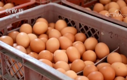 为啥<em>最近鸡蛋价格</em>持续上涨？