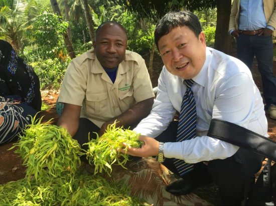 26次赴非援农，海江波教授：在非洲搞农业援助，必须“接地气”