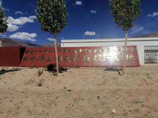 西藏农牧民是<em>怎样</em>通过搬迁改变命运——纪念西藏百万农奴解放65...