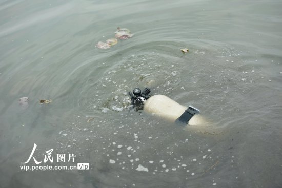 游客<em>手机</em>掉落杭州西湖 潜水员探湖<em>寻找</em>