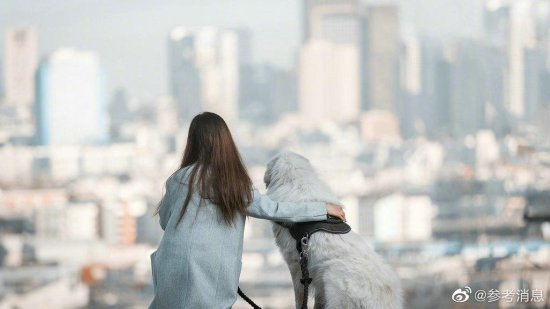 研究发现狗是女人最好的朋友