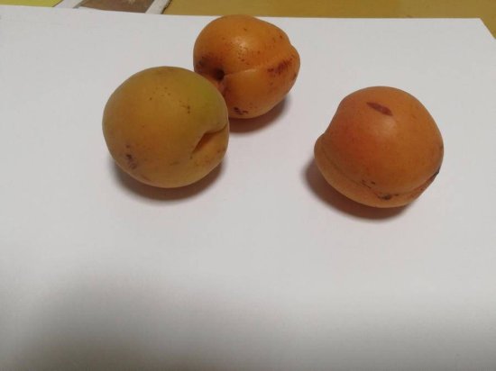 贾绍萍轻水彩系列：一日三餐之甜杏儿