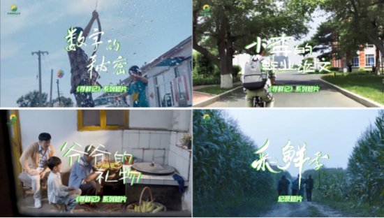 中麒团队重磅打造<em>吉林</em>鲜食玉米系列短片，花絮抢“鲜”看！