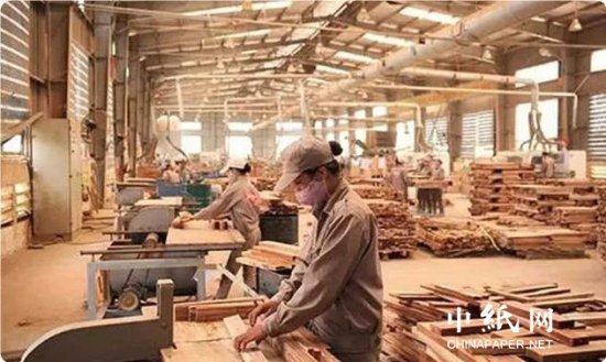 2022年俄罗斯<em>木材企业</em>收入少了2万亿