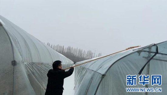 武汉东西湖农业农村局展开低温雨雪冰冻天气应急处置