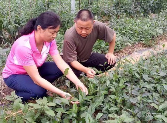 湖南城步一企业获评“国家级生态农场”称号