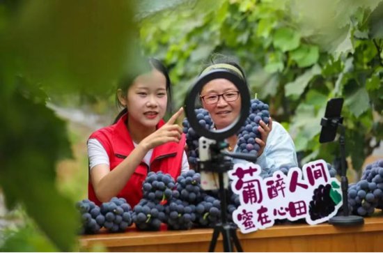 江苏海门：“新农人”成“兴农人” 助力农产品出村上网销得畅