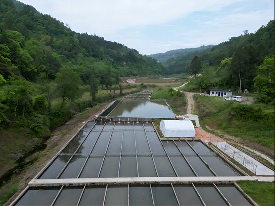 四川平昌：发展水产养殖业 助力乡村振兴“致富路”