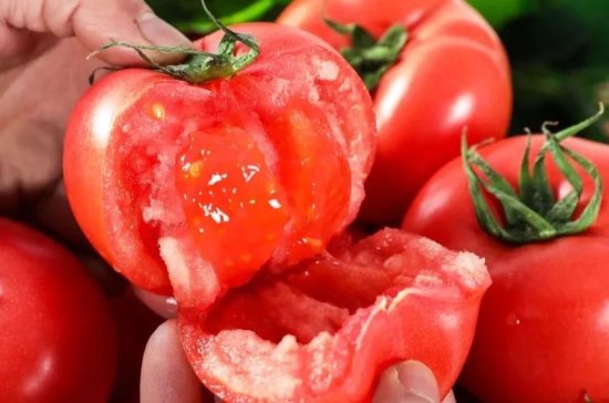 番茄自然成熟，如何挑选，番茄<em>适合什么人群吃</em>， 能美白吗？